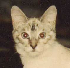 Deanna